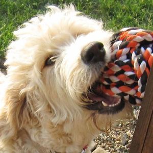 Meet your Posher, Tina